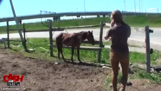 Привлекательная крошка была выебана на свежем воздухе